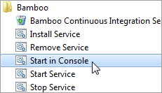 Start-Bamboo-Server-From-Console