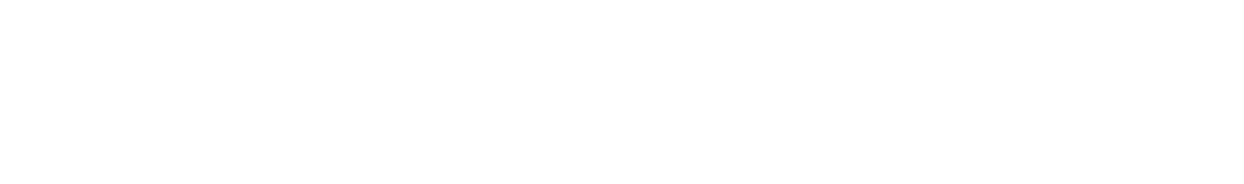 DesignWise Logo - White